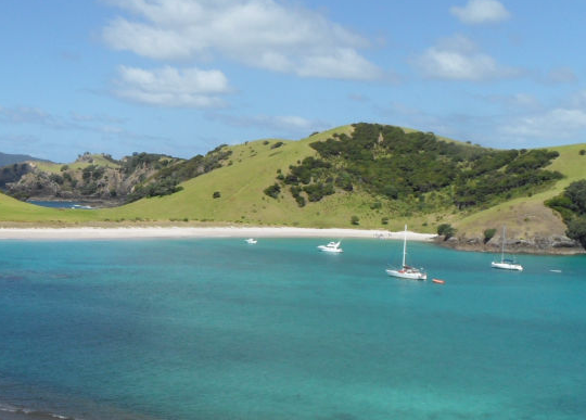 Cruising in the Bay of Islands